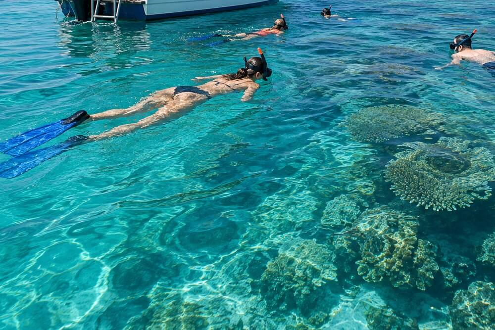 Snorkelerzy z maskami i płetwami oglądają rafę koło łodzi