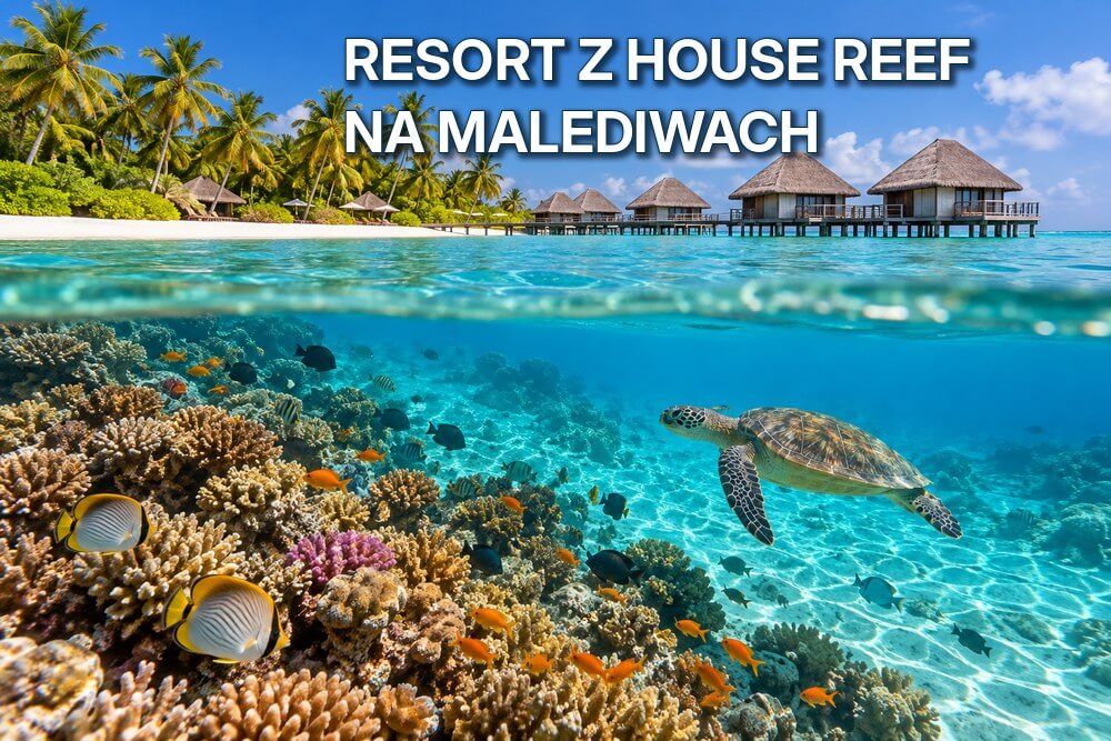 Resort z house reef na Malediwach – jak wybrać hotel z dobrą rafą?