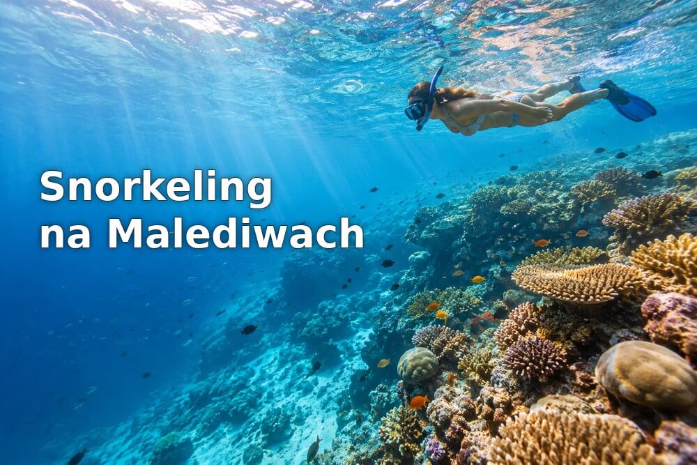 Snorkeling na Malediwach – kompletny poradnik dla początkujących i zaawansowanych