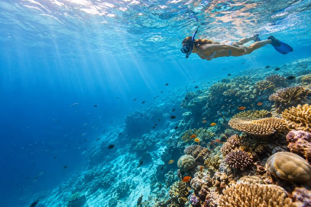 Snorkeler płynący nad krawędzią rafy na Malediwach