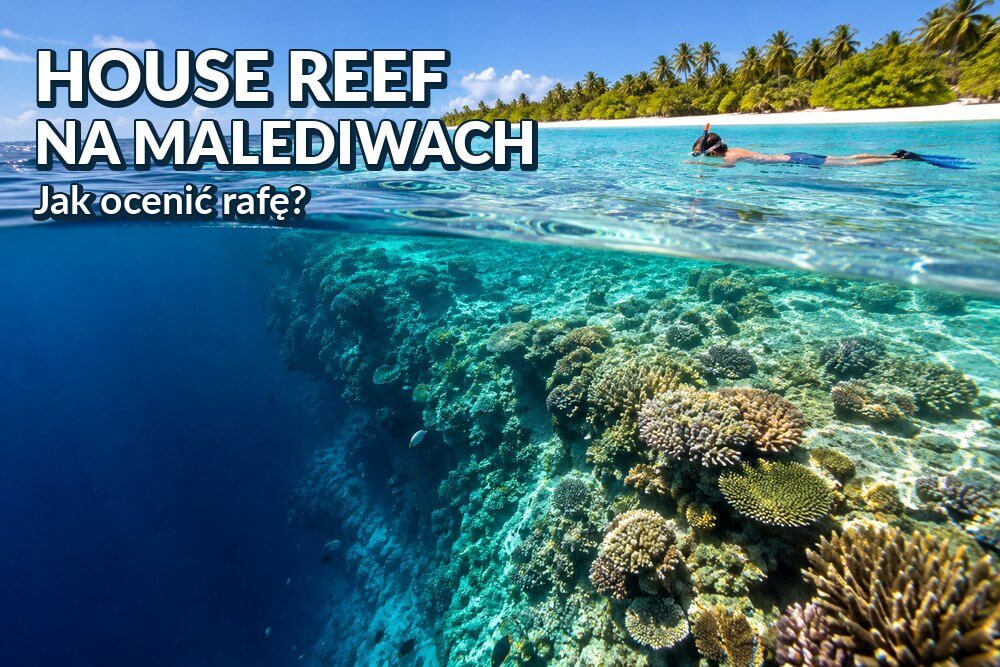 House reef na Malediwach – co to jest i jak ocenić rafę przy wyspie?
