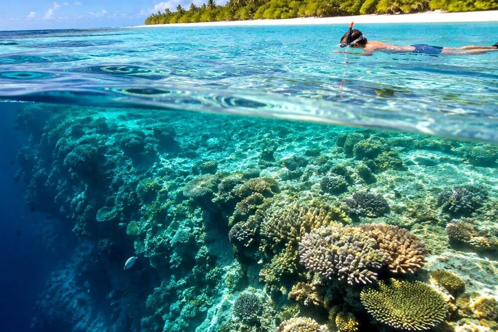 Snorkeler płynie nad stromą krawędzią rafy koralowej na Malediwach