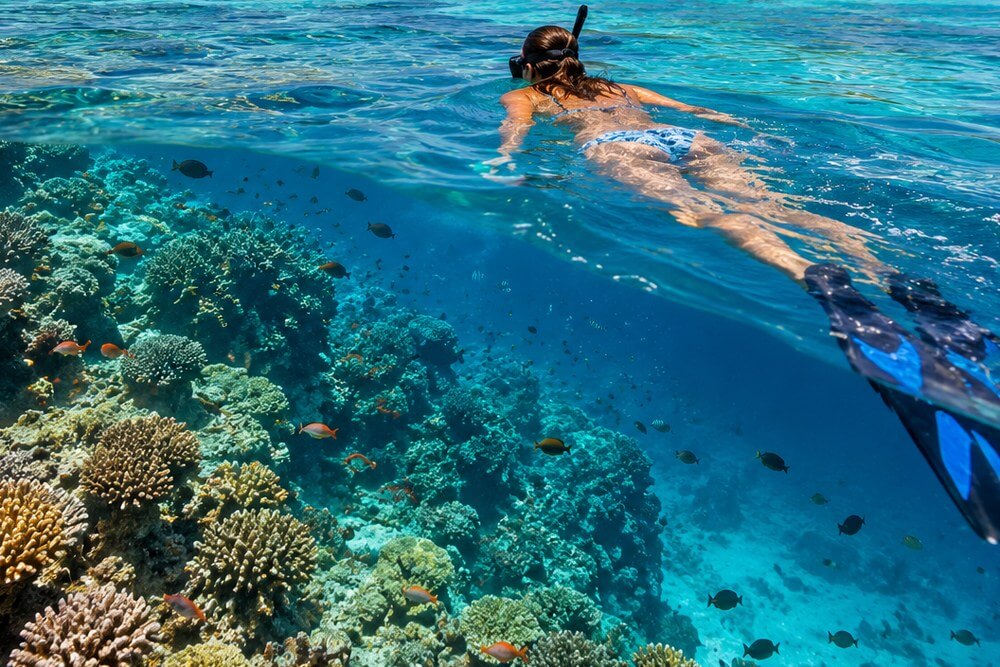 Snorkeler nad rafą domową przy wyspie na Malediwach